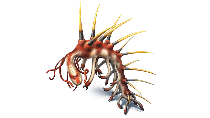 Illustration of what the animal may have looked like when alive.