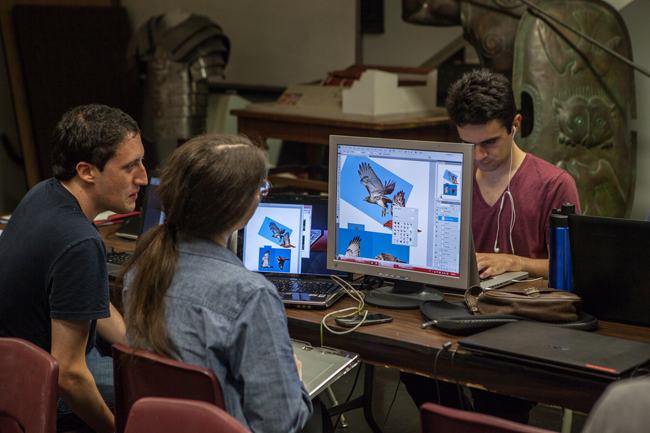 Young adult participants in the Game Jam work on designing a hawk on their computers