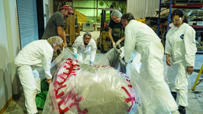 A photograph of six people in white protective clothing dragging the heart of a blue whale.