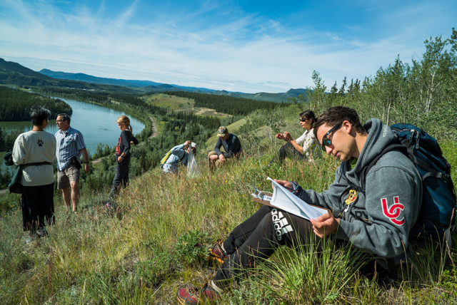 Bioblitz participants learn about the plants and insects living on a South-facing slope overlooking the Yukon River near Carmacks. Photo by Stacey Lee Kerr