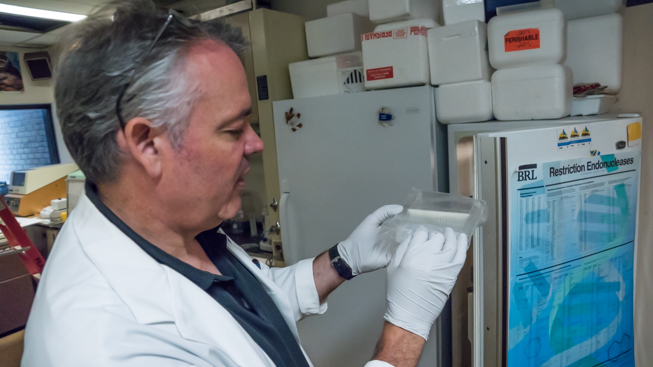 Oliver Haddrath shows us blue whale tissue sample stored in the short term freezer. Photo by Connor McDowell