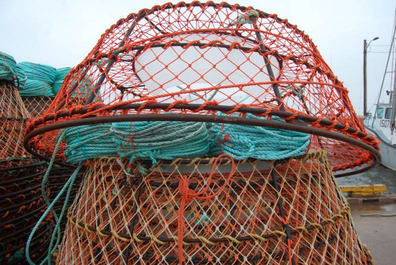 Circular netted crab pots used to capture snow crab