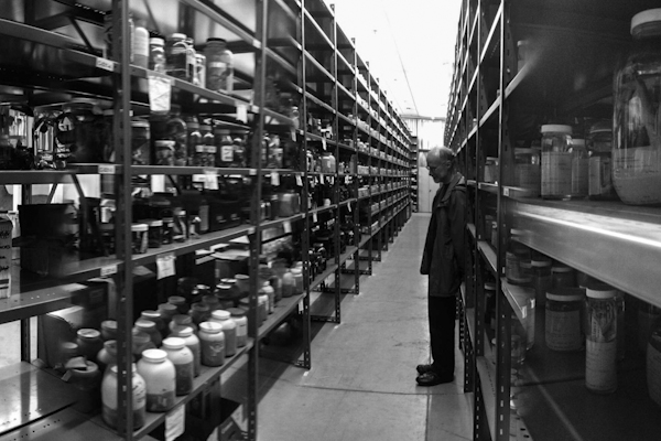 Former ROM Assistant Curator of Herpetology, Ross MacColloch amongst the alcohol collections in the ROM