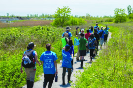 A group of people walking along a path participating in a BioBlitz