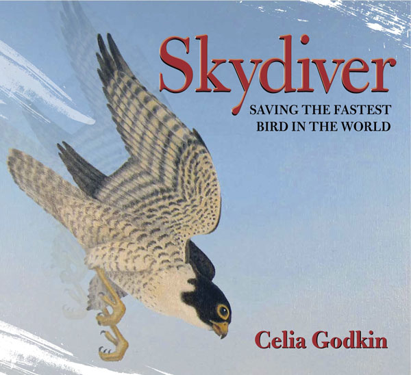 The cover of "Skydiver: Saving the Fastest Bird in World", featuring a Peregrine falcon in flight