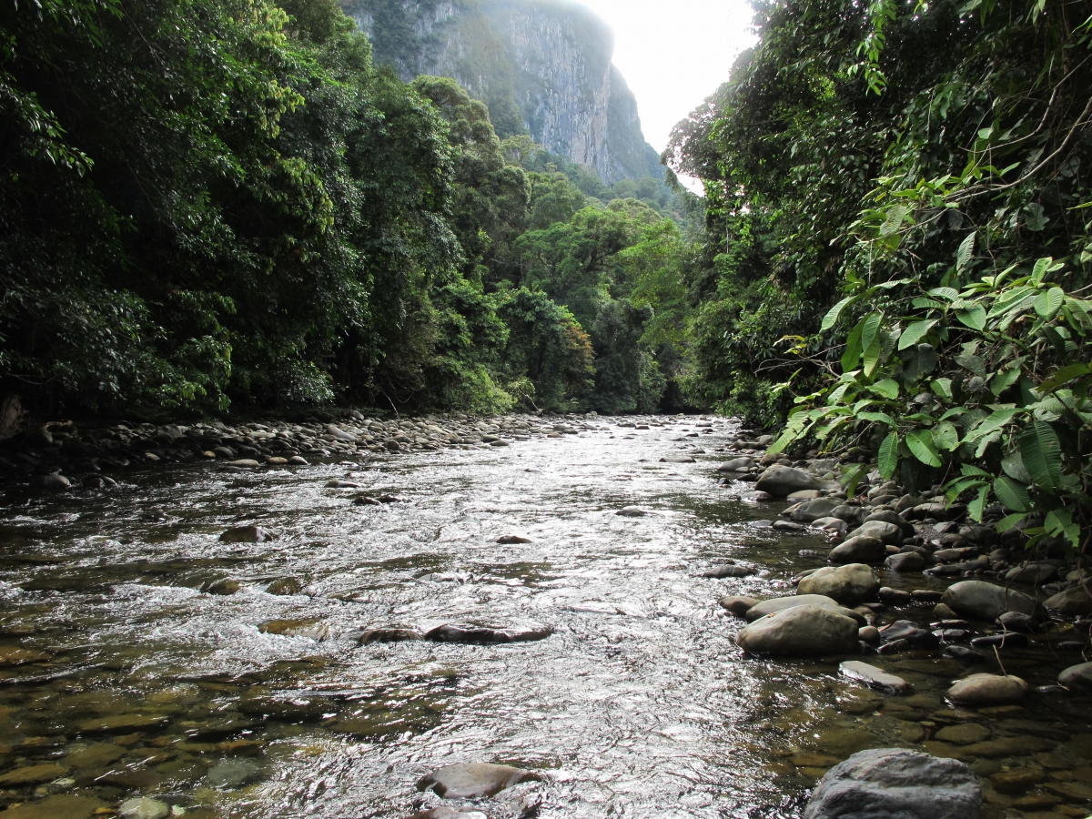 Gunung Mulu National Park, in the Heart of Borneo (Photo: Chris Darling)