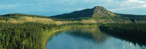 The Yukon River near Carmacks, Yukon. Photo Courtesy of Syd Cannings