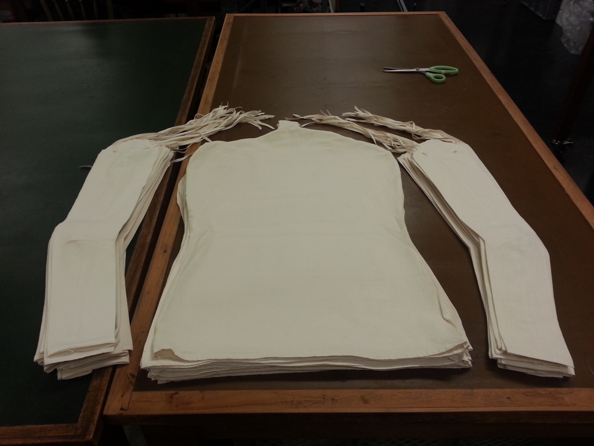 Photo of ironed torso pattern