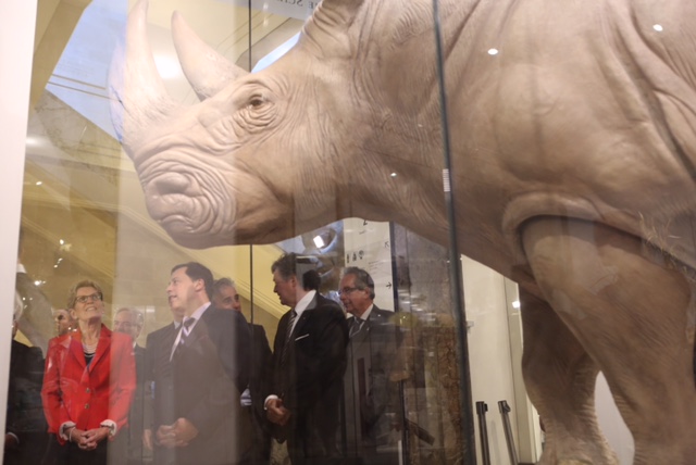 Premier Wynne admiring Bull the White Rhinoceros. Photo credit: Jenna Muirhead-Gould