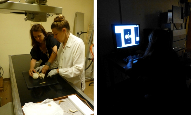 In the ROM X-ray lab with Heidi Sobol & Julia