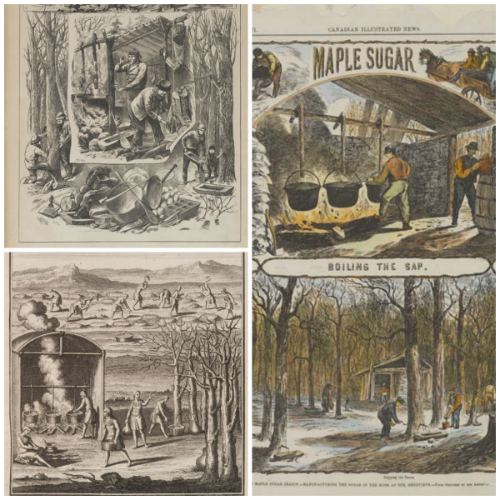 Maple Sugaring Historic Newspaper Illustrations, ROM2007_9376_1.jpg, ROM2007_9376_2.jpg,  ROM2006_7196_7.jpg