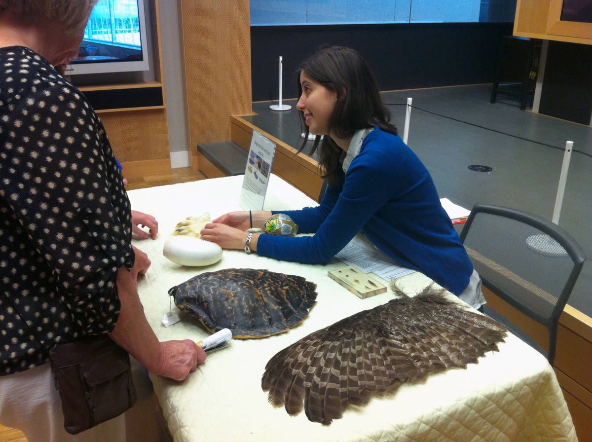 ROM volunteer teaching visitors about different migratory animals