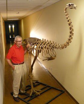 Dr. Allan Baker standing next to  a giant moa skeleton