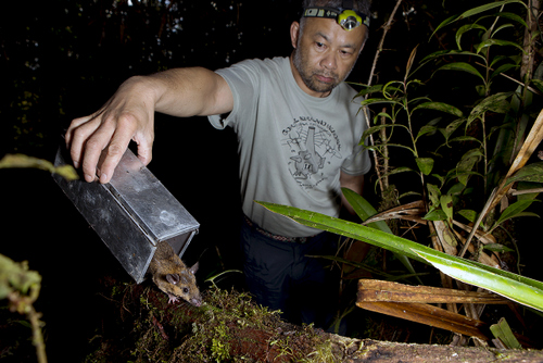 Burton Lim releasing a rat he captured in the jungle.