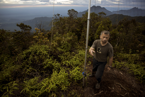 Burton Lim, the team mammalogist, sampling bats atop the mountain.