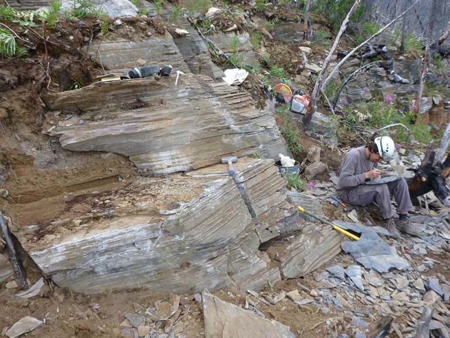 Quarry site showing fossiliferous layers. Diego Balseiro, a field volunteer from Argentina, is labeling fossils.