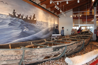 An excavated 17th century Basque whaling boat (Chalupa) from Red Bay, Labrador on the Strait of Belle Isle, a heavily trafficked whale migration path. Photo by Katherine Ing