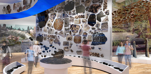 Des visiteurs dans une galerie ou sont présentés des centaines de fossiles sur les murs.