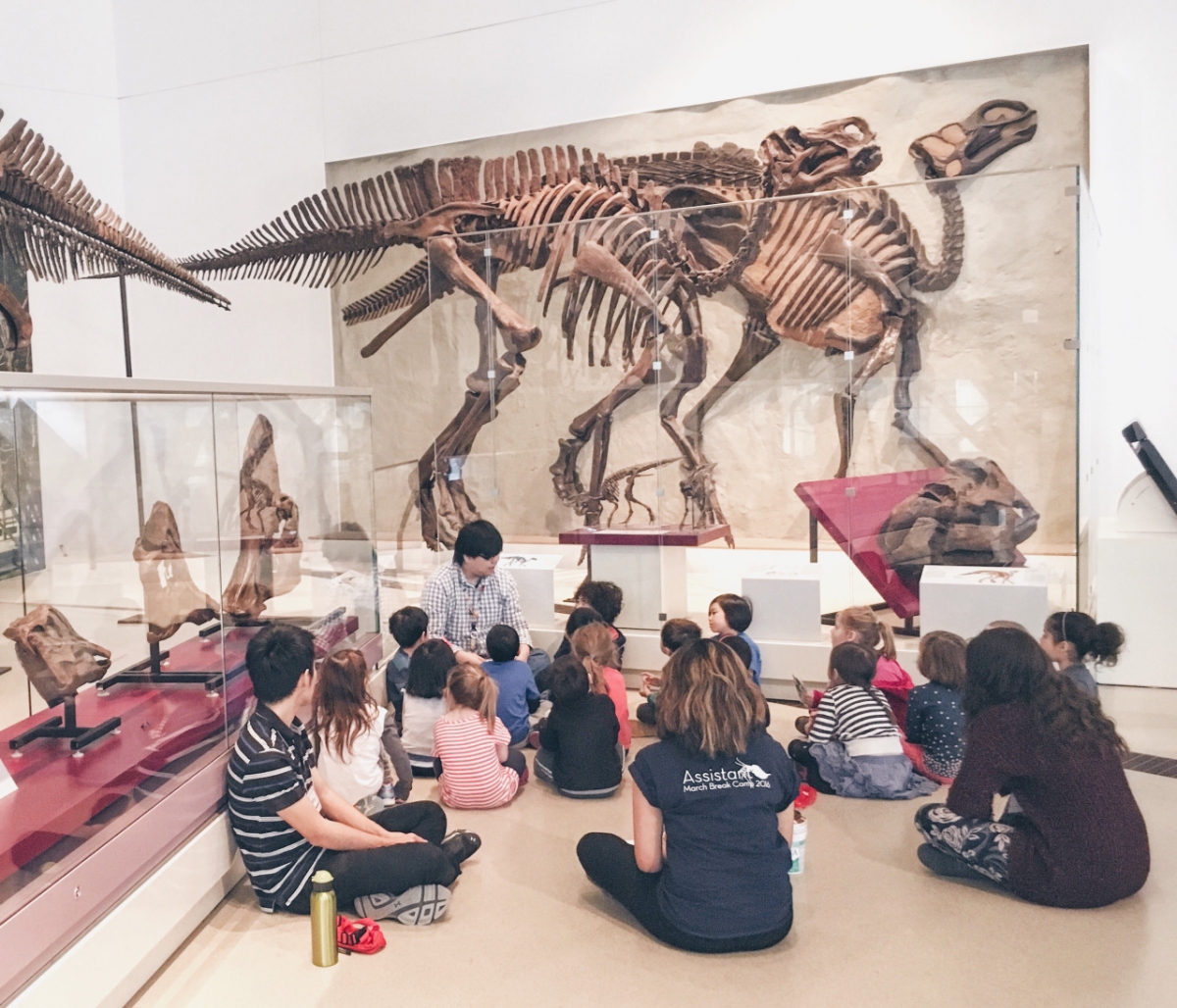 A group of kids learn about dinosaur fossils