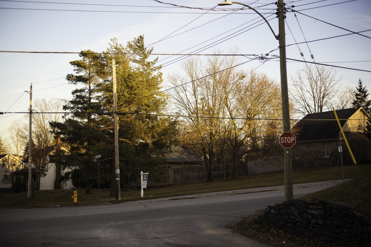 Residential street corner with telephone poles and large mature trees 