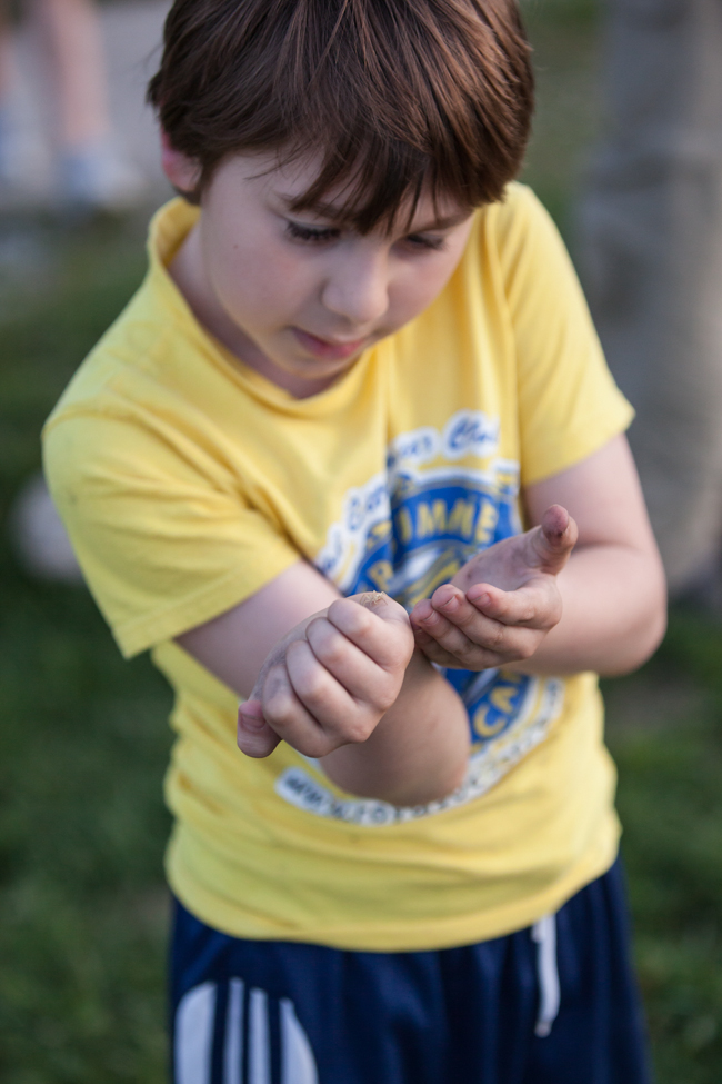 a young boy gently allows a spider to crawl across his hands