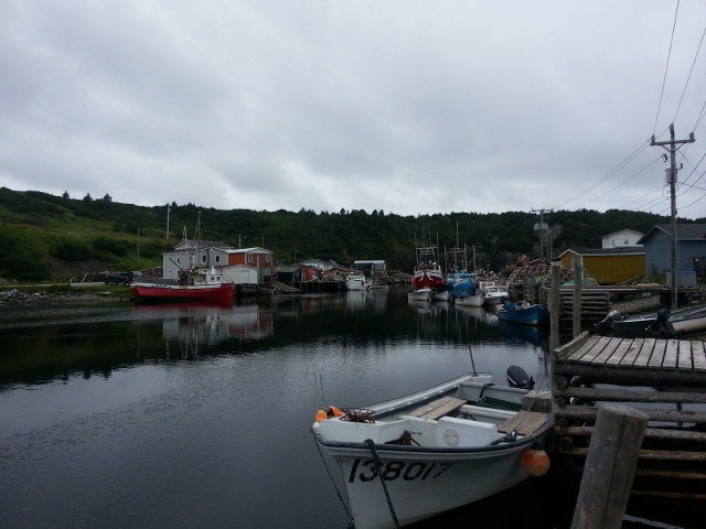 Trout River, Newfoundland. Photo by Katherine Ing