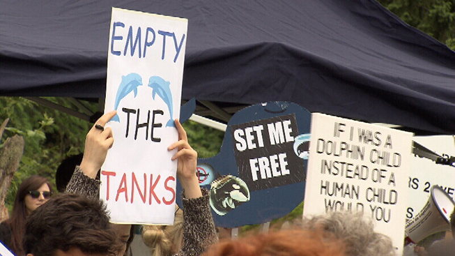 Protests outside the Vancouver Aquarium (Credit: CTV)