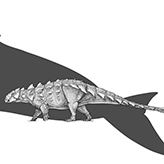Illustration of Zuul next to a blue whale silhouette