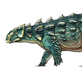 A colour illustration of a long, thin dinosaur with green, armoured skin