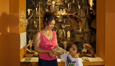 See and touch real objects from the ROM's collection in the ROM's hands-on gallery.