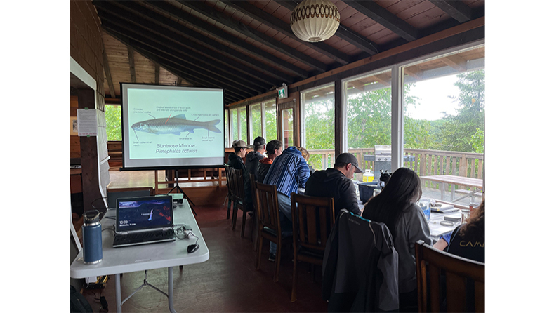 Screen projection of fish with people sitting at table doing work