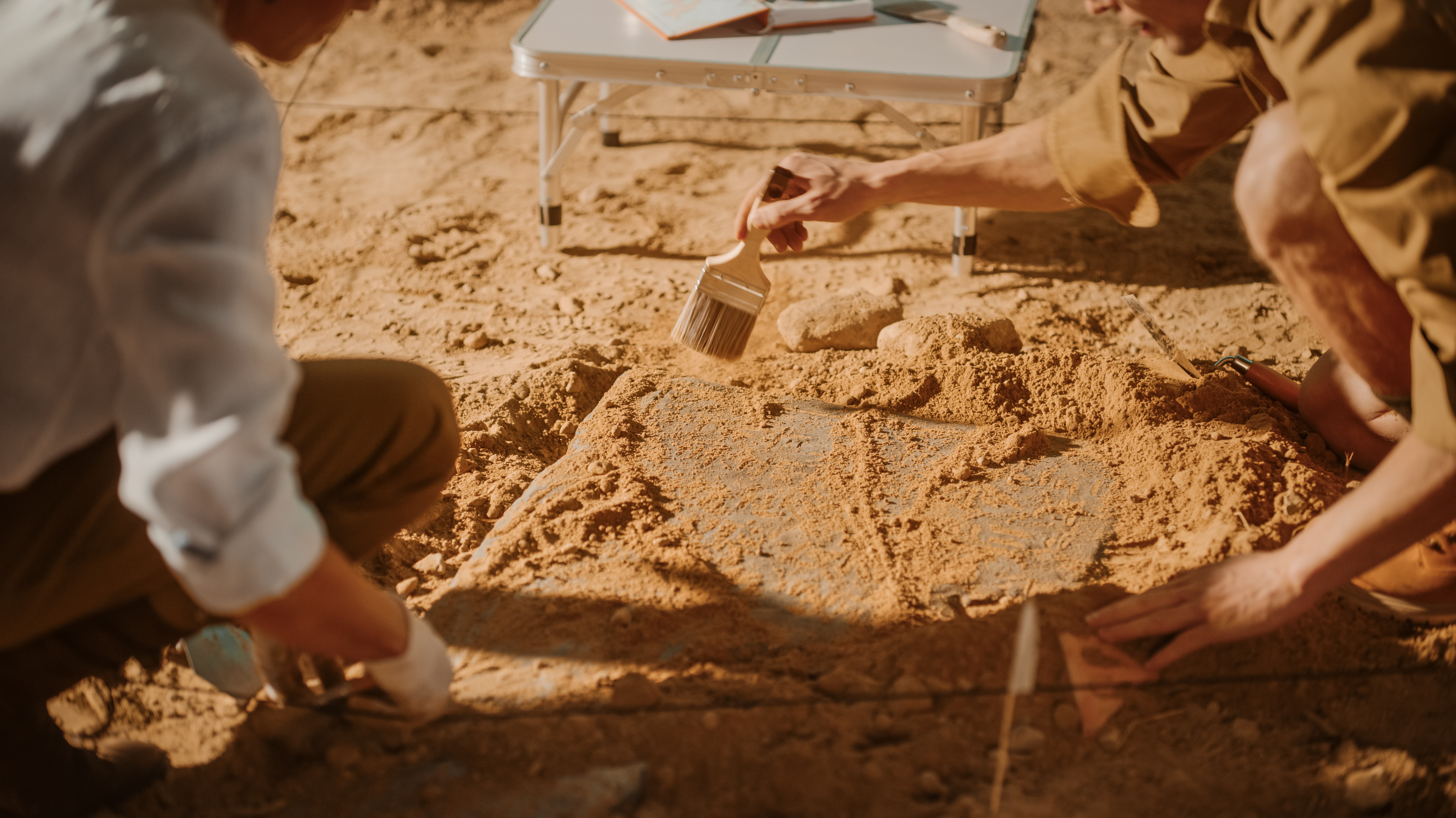 Dig site