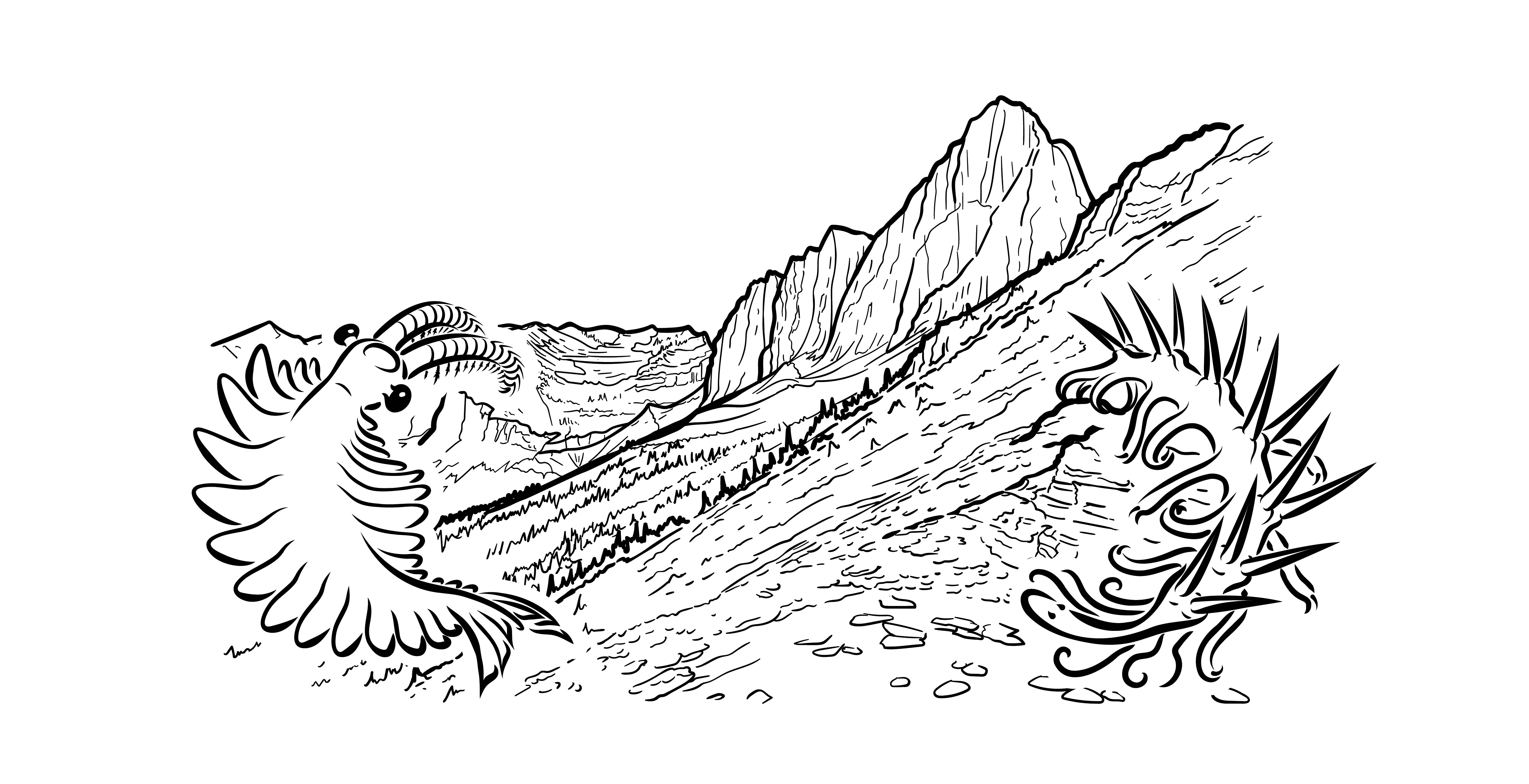 ROM Burgess Shale Research 1975-2025 Burgess Shale drawing