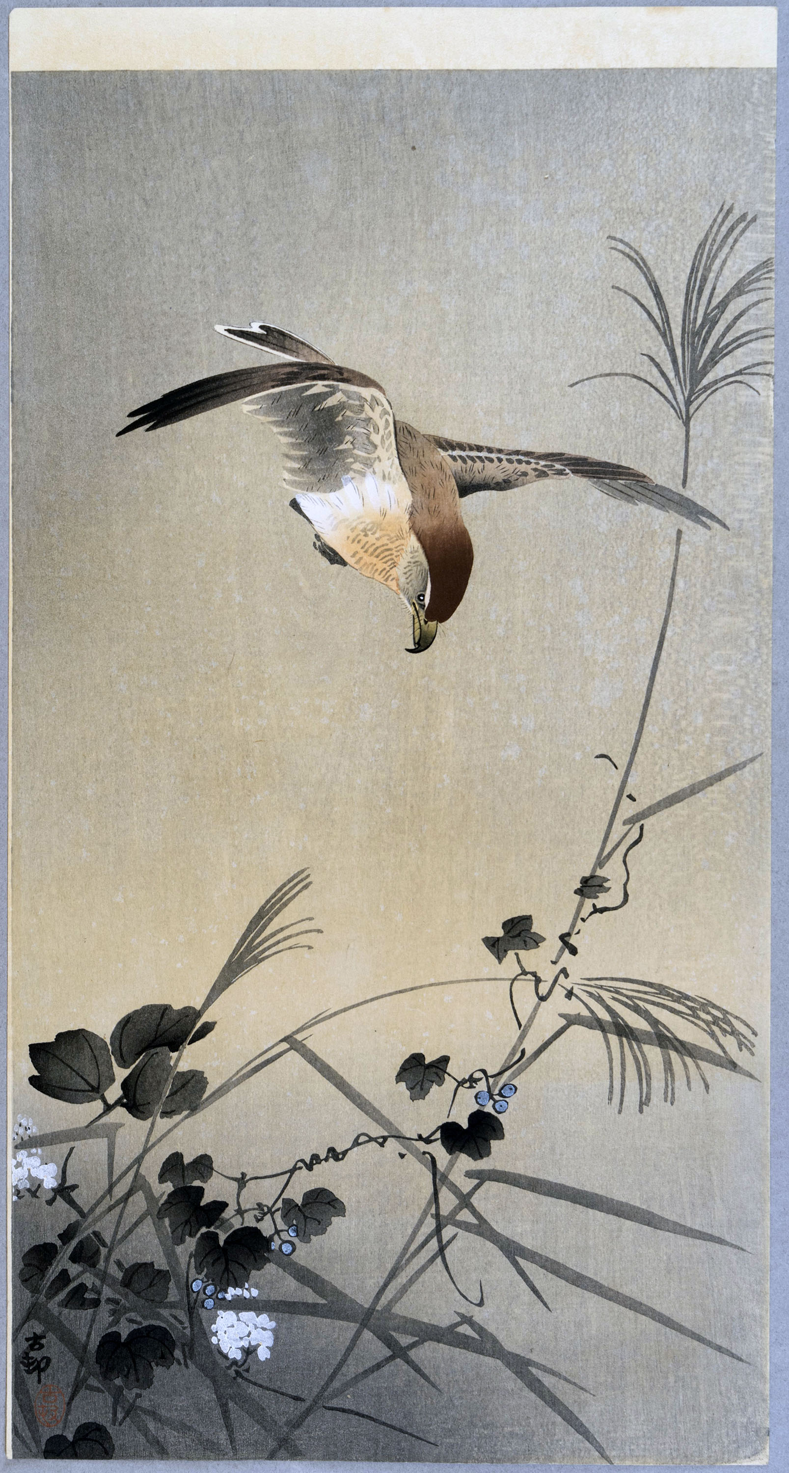 Early 20th century Shōwa Period woodblock print, “Bird and Flower” by Ohara Koson 小原古邨 (1877-1945), Tokyo, Japan, 2024.43.6. © ROM and Gift of the Estate of Shozo Uno and Edward Johnston.