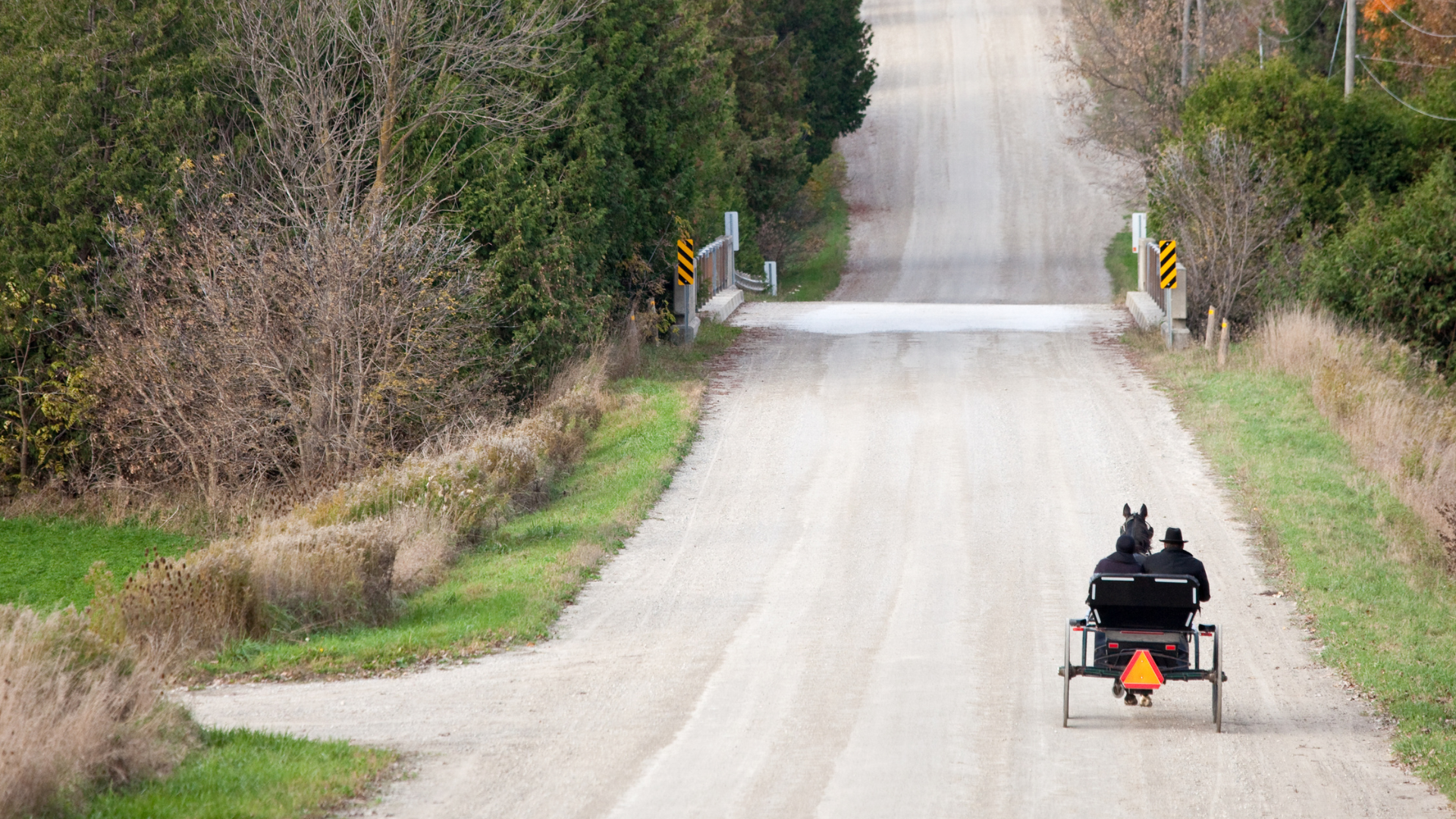 Mennonite Horse and Buggy