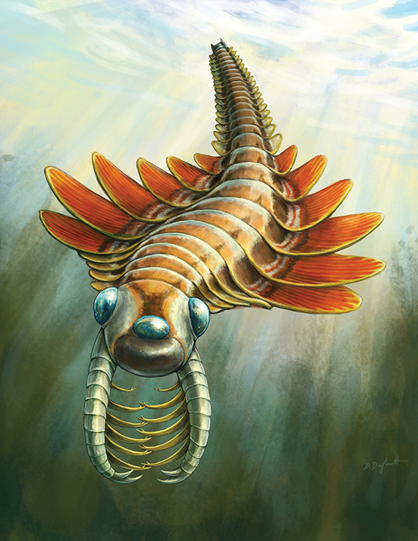 Life reconstruction of Mosura fentoni Life reconstruction of Mosura fentoni, art by Danielle Dufault © ROM