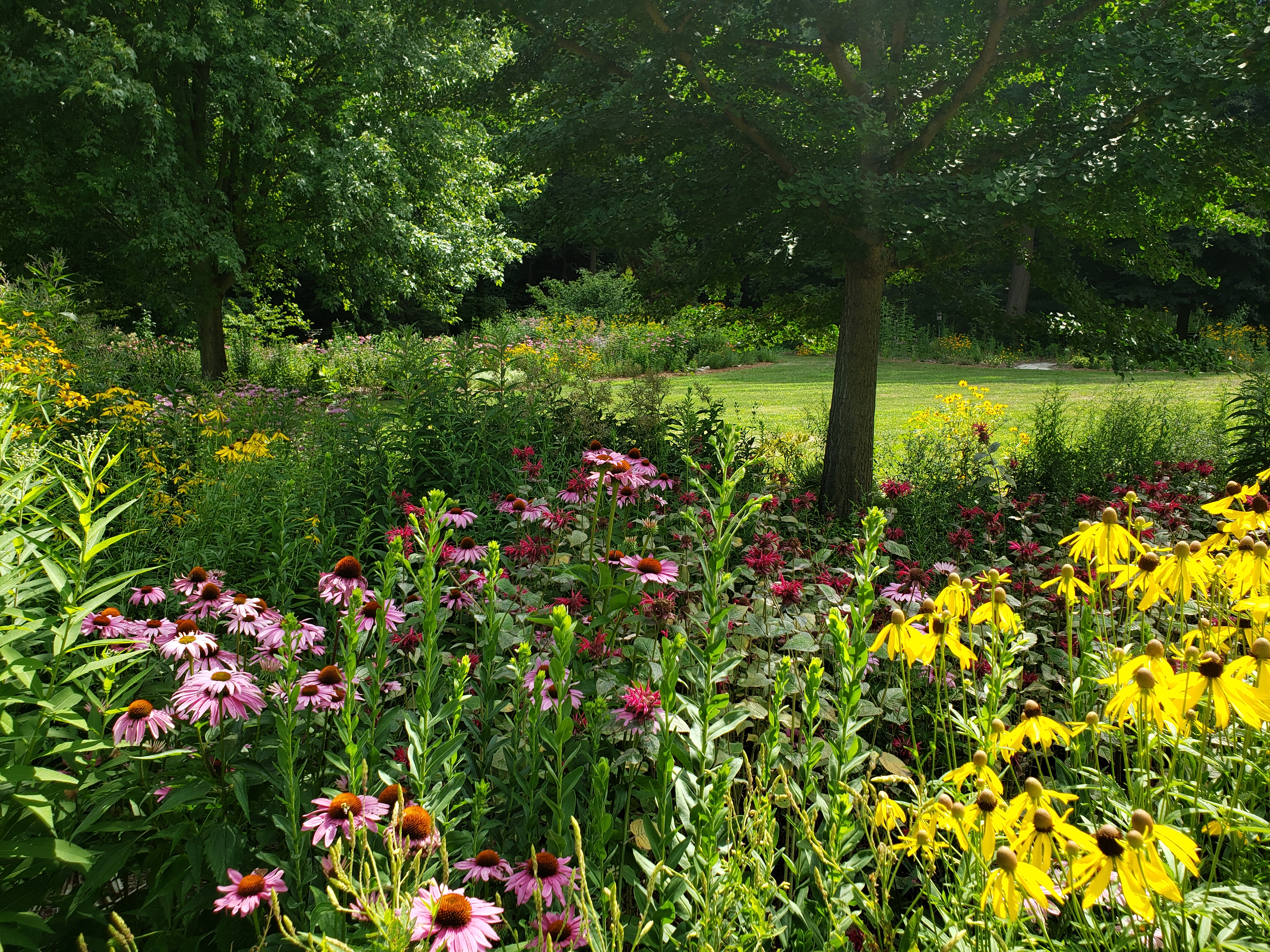 Pollinator garden