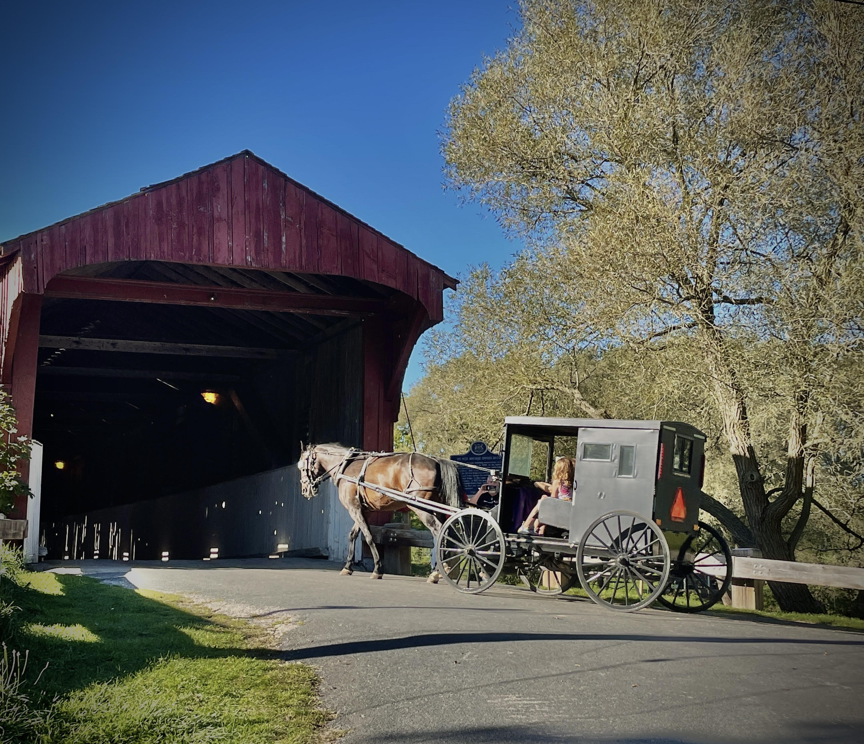 Horse and buggy entering Kissing Bridge 