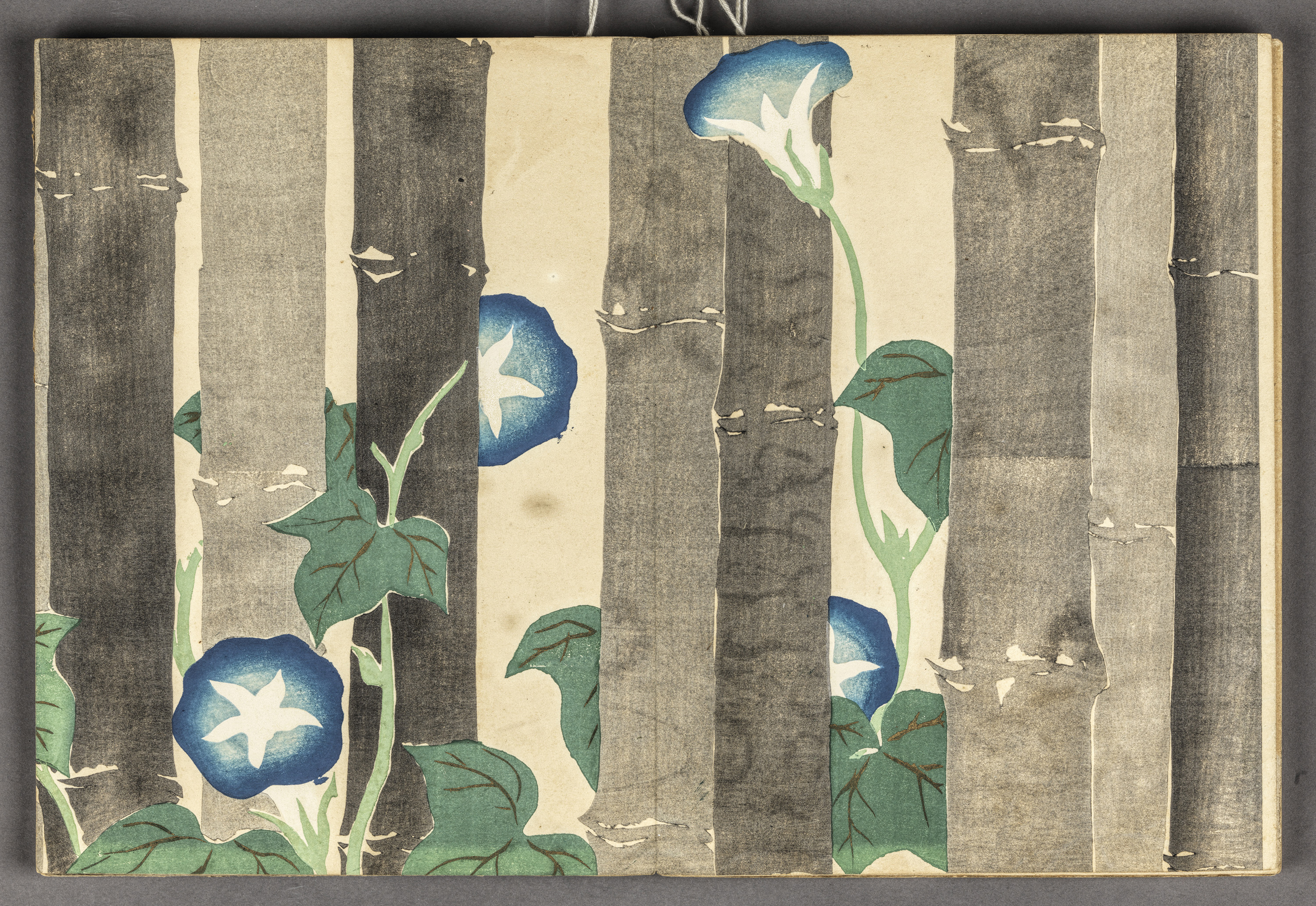 Meiji period “Flowers of a Hundred Worlds (Momoyogusa 百々世草), vol. 1” by Kamisaka Sekka (1866 - 1942), album of woodblock prints; ink and colour on paper, 1909-10, Japan, 2001.78.1. © ROM. This acquisition was made possible by a generous grant from the ROM Foundation.
