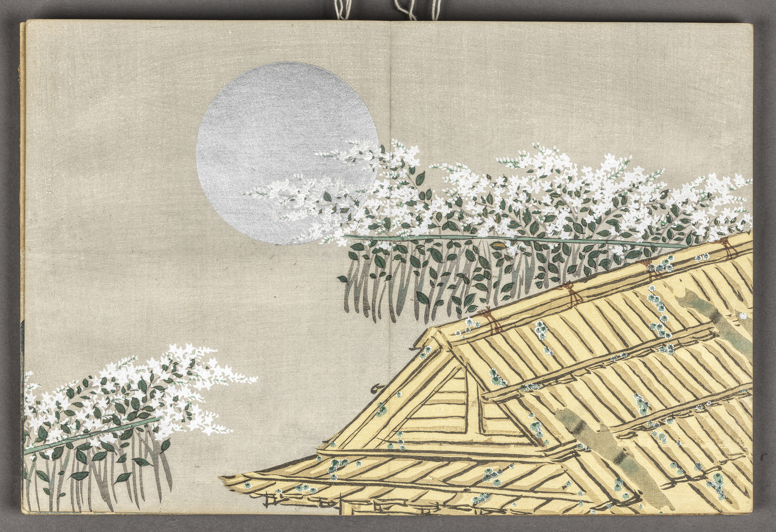 Meiji period “Flowers of a Hundred Worlds (Momoyogusa 百々世草), vol. 1” by Kamisaka Sekka (1866 - 1942), album of woodblock prints; ink and colour on paper, 1909-10, Japan, 2001.78.1. © ROM. This acquisition was made possible by a generous grant from the ROM Foundation.