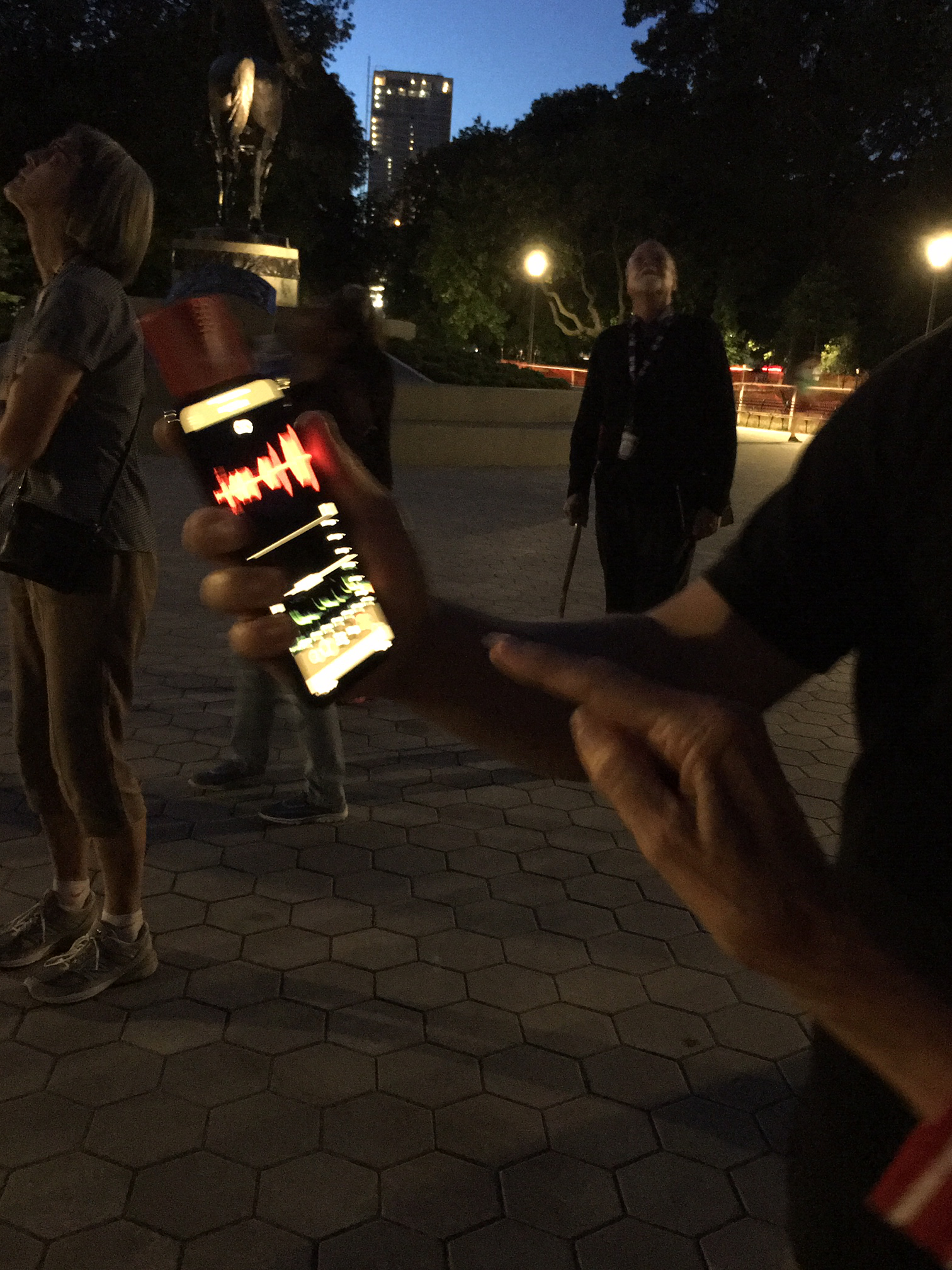 Smartphone recording the echolocation calls