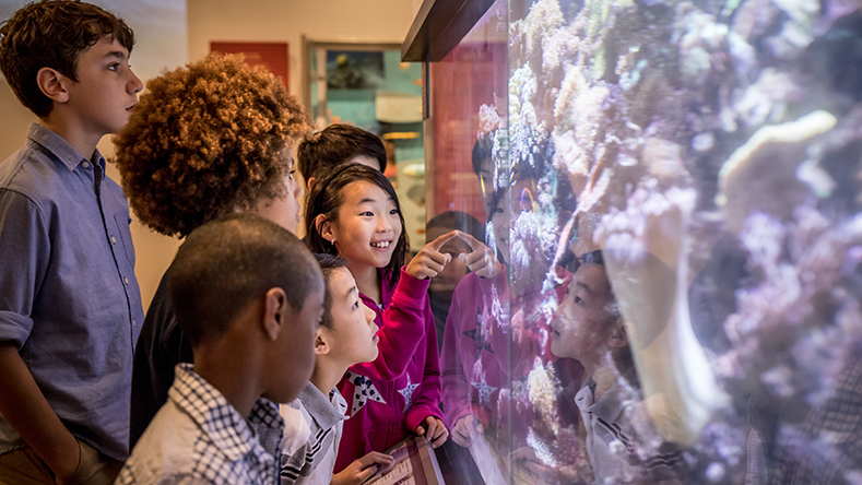 A group of children observes an aquarium display, captivated by the vibrant fish swimming among the coral.