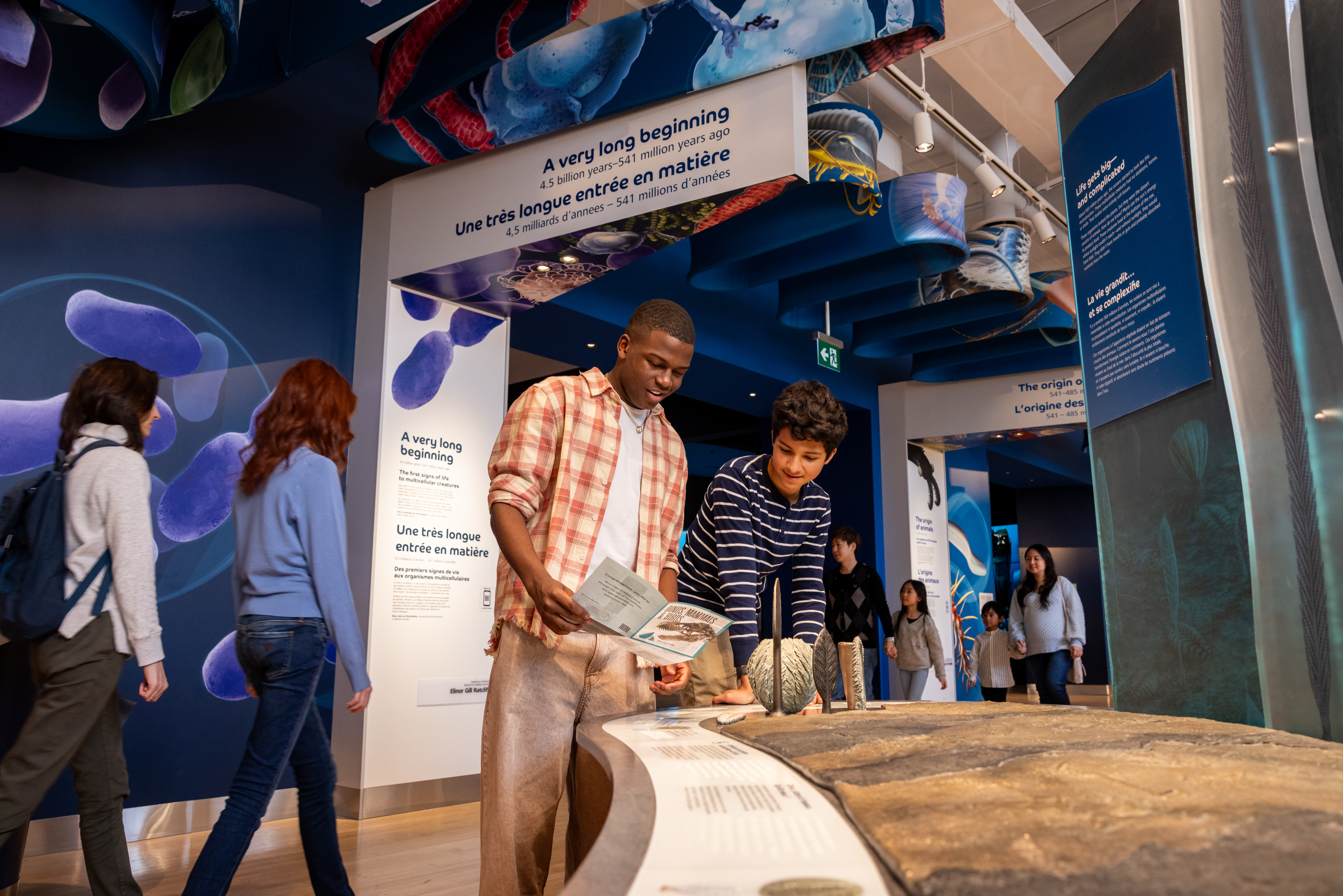Two teenagers examine a display of ancient life