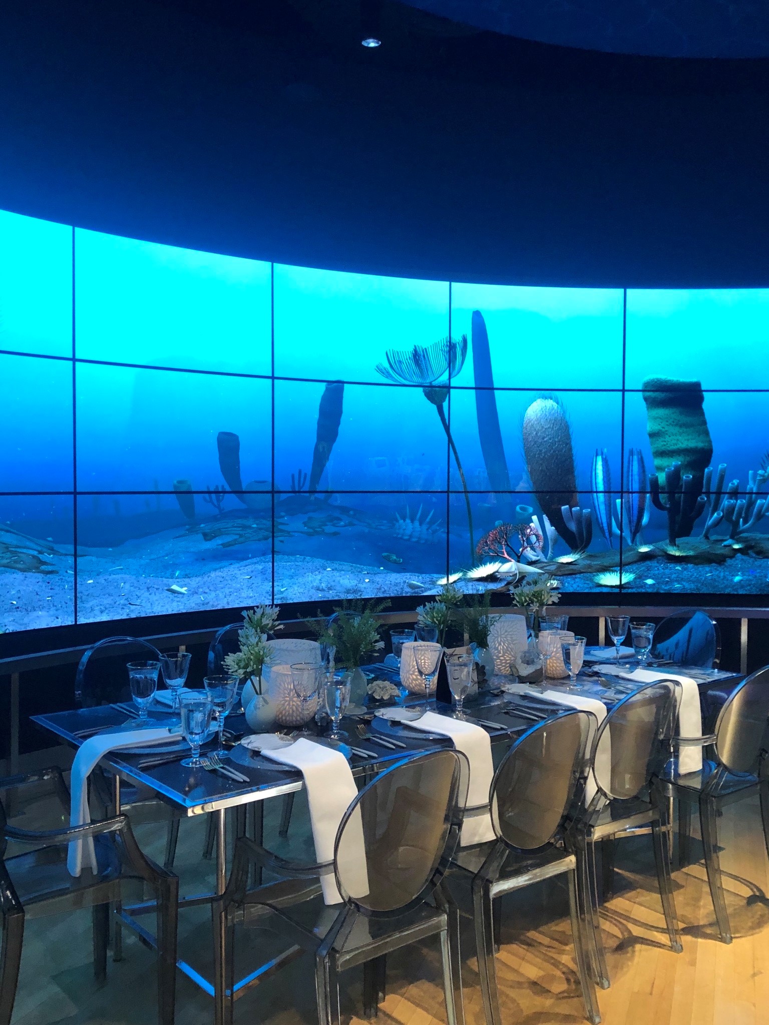 Dawn of Life Gallery at Royal Ontario Museum