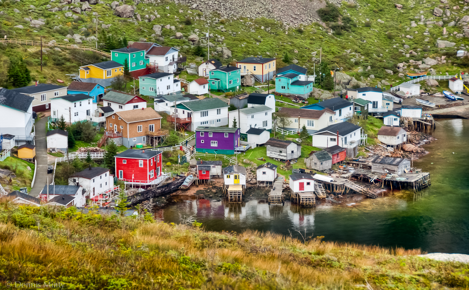 A group of colourful houses on a hill on the seacoast.