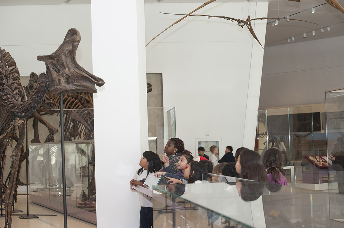 Smiling students lean against a glass wall looking up at a dinosaur skeleton