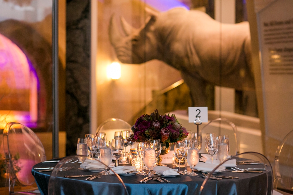 Schad Gallery of Biodiversity located at Royal Ontario Museum.