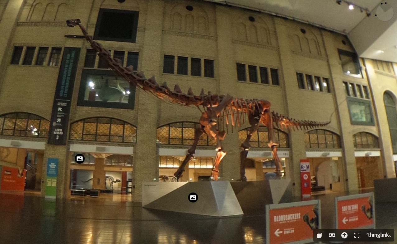 A large long-necked dinosaur stands in the lobby of the Royal Ontario Museum.