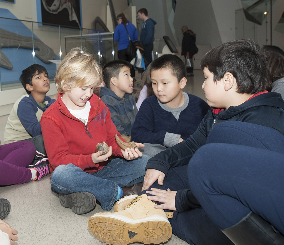 Several young students in a diverse class touching dinosaur fossils.