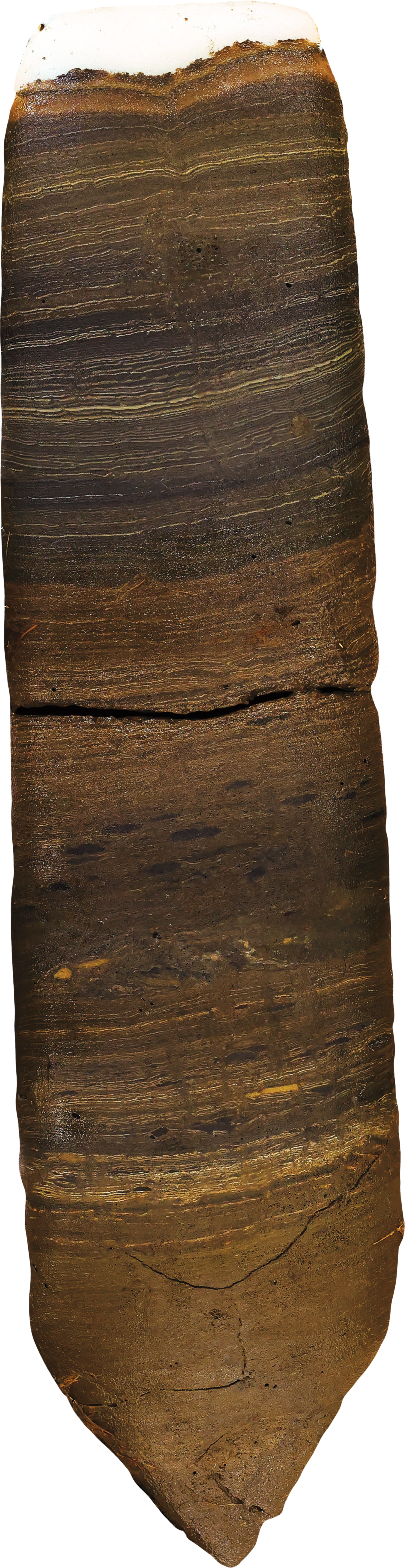 Detail of core from Crawford Lake showing varving